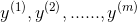 {y^{(1)},y^{(2)},......,y^{(m)}}