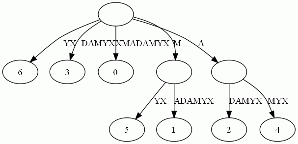 compact suffix trie