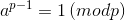 a^{p-1}=1\left (mod p)