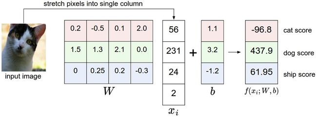 liner classification