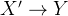 X' \rightarrow Y