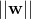||\mathbf{w}||