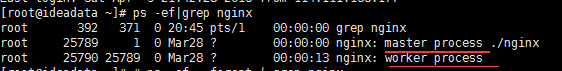 nginx运行进程