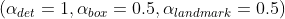 (\alpha _{det}=1,\alpha _{box}=0.5,\alpha _{landmark}=0.5)