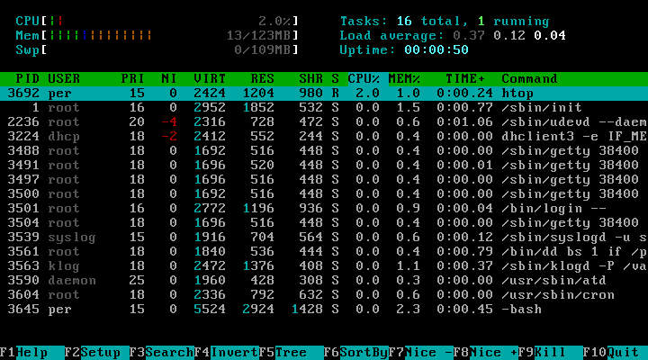 File:Htop.png