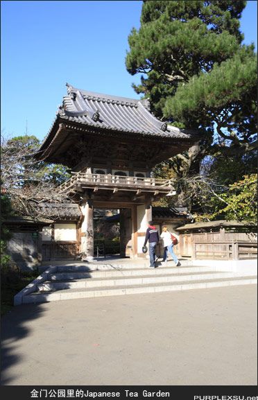 旧金山金门公园里的Japanese Tea Garden