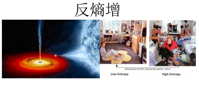 从搞笑到高效,构建敏捷团队的基础原则_第5张图片