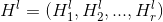 H^{l} = (H^{l}_1,H^{l}_2,...,H^{l}_r)