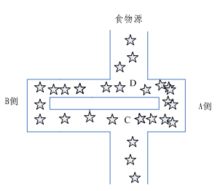 初始蚁群爬行路线