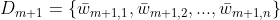 D_{m+1}=\left \{ \bar{w}_{m+1,1},\bar{w}_{m+1,2},...,\bar{w}_{m+1,n} \right \}