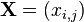 \mathbf X = (x_{i, j})