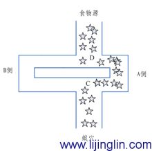 图4 蚁群最终选择的路径