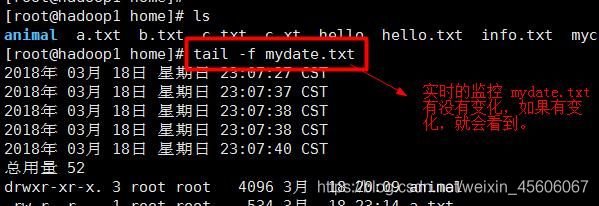 linux常见命令、组管理和权限管理_第22张图片