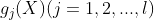 g_{j}(X)(j=1,2,...,l)