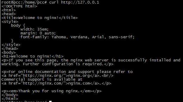 curl nginx