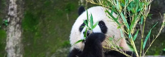 为什么它有典型FaaS能力,却是非典型FaaS架构?_第19张图片