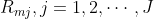 R_{mj},j=1,2,\cdots,J