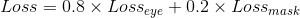 Loss=0.8 \times Loss_{eye}+0.2 \times Loss_{mask}