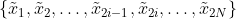 \left\{\tilde{x}_{1}, \tilde{x}_{2}, \ldots, \tilde{x}_{2 i-1}, \tilde{x}_{2 i}, \ldots, \tilde{x}_{2 N}\right\}