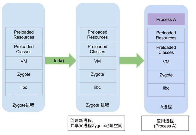 zygote_fork