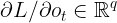 \large \partial L / \partial o_{t}\in \mathbb{R}^{q}