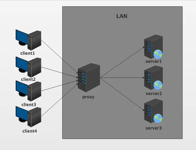 nginx-proxy-reverse