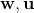 \mathbf{w},\mathbf{u}