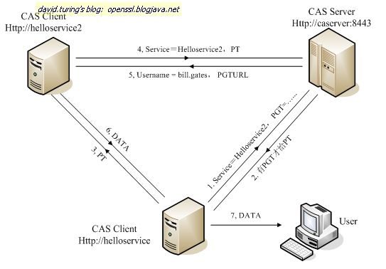 cas_protocol-3.jpg