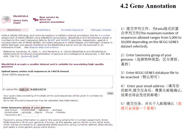 KEGG在线数据库使用攻略_第13张图片