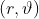 \left( r, \vartheta \right)