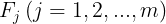 \large F_{j} \left ( j=1,2,...,m \right )