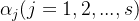 \alpha _j(j=1,2,...,s)