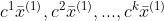 c^{1}\bar{x}^{(1)},c^{2}\bar{x}^{(1)},...,c^{k}\bar{x}^{(1)}