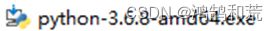 图1.1 Python 3.6.8 64位