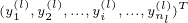 \tiny (y_{1}^{(l)},y_{2}^{(l)},...,y_{i}^{(l)},...,y_{n_{l}}^{(l)})^{T}