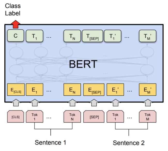 experimental) Dynamic Quantization on BERT — PyTorch Tutorials 1.5 ...