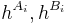 h^{A_i},h^{B_i}