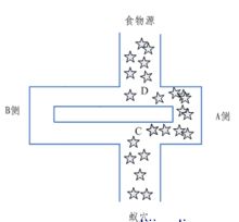 最终蚁群爬行路线