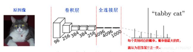 分类网络