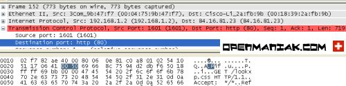 wireshark packet dissector pane