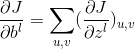 \frac{\partial J}{\partial b^l}=\sum_{u,v}(\frac{\partial J}{\partial z^l})_{u,v}