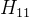 H_{11}