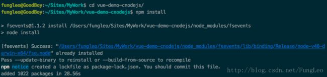 npm install