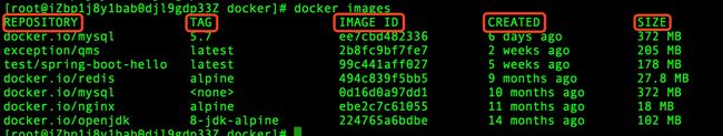 Docker 查看镜像信息