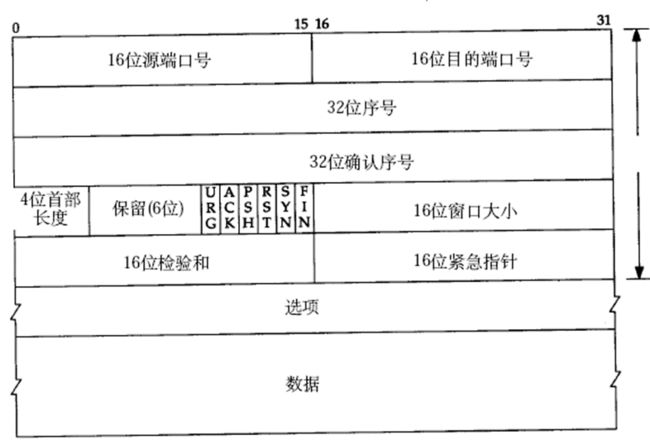 TCP数据段