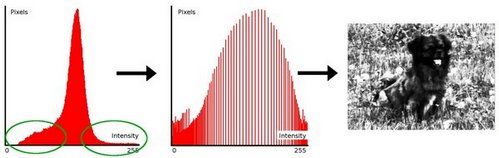 ../../../../../_images/Histogram_Equalization_Theory_1.jpg