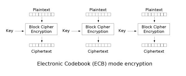 ECB加密