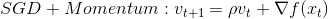 SGD+Momentum: v_{t+1} = \rho v_t + \nabla f(x_t)