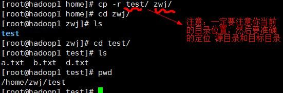 linux常见命令、组管理和权限管理_第11张图片