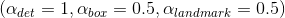 \left (\alpha _{det}= 1,\alpha _{box}= 0.5,\alpha _{landmark}= 0.5 \right )